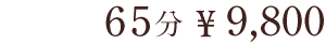 価格は65分9,800円