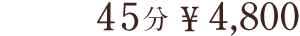 価格は45分4,800円